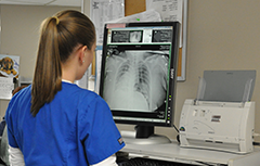 What is a Radiologic Technologist?